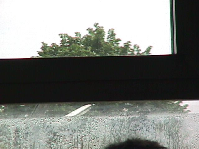 ../_images/1999-08-12-Nitsch-1-MVC-016F.JPG