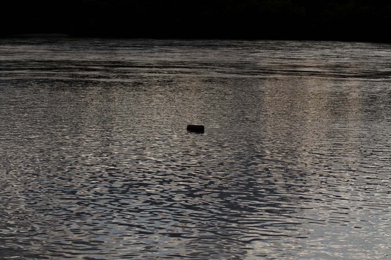 Photosession: Donauinsel