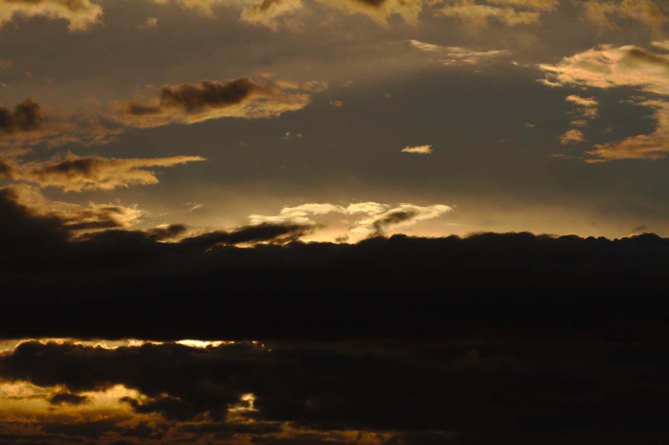 Photosession: Donauinsel