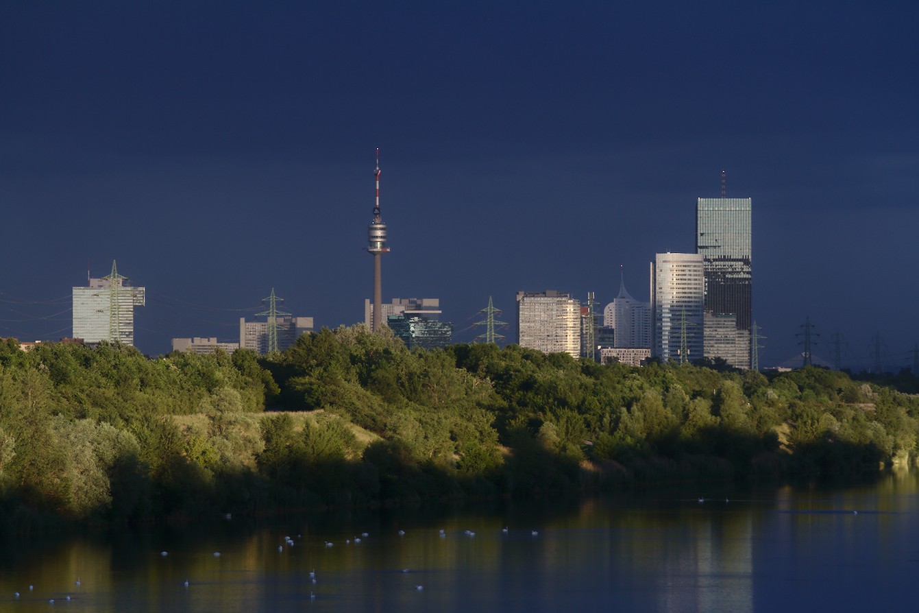 Photosession: Donauinsel